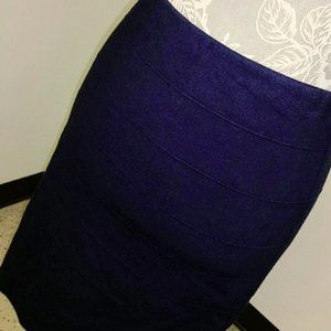 Ann Taylor Navy Blue Pencil Skirt